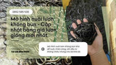 Lươn Giống Vifoods: 